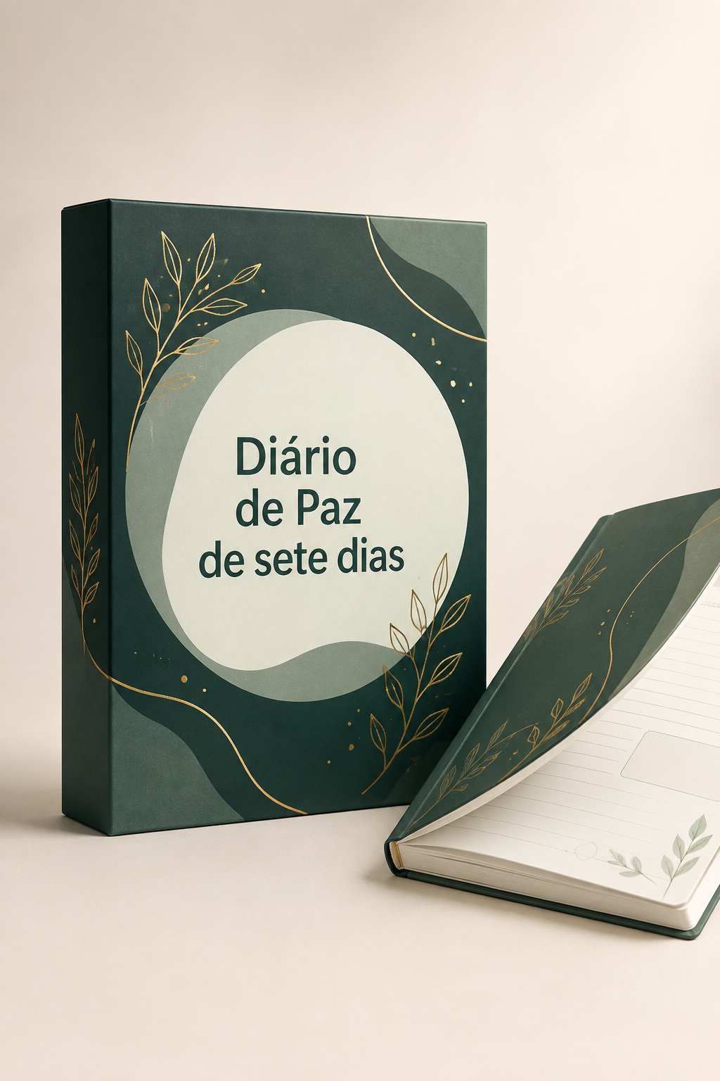 Diário de Paz de sete dias, caixa e caderno aberto